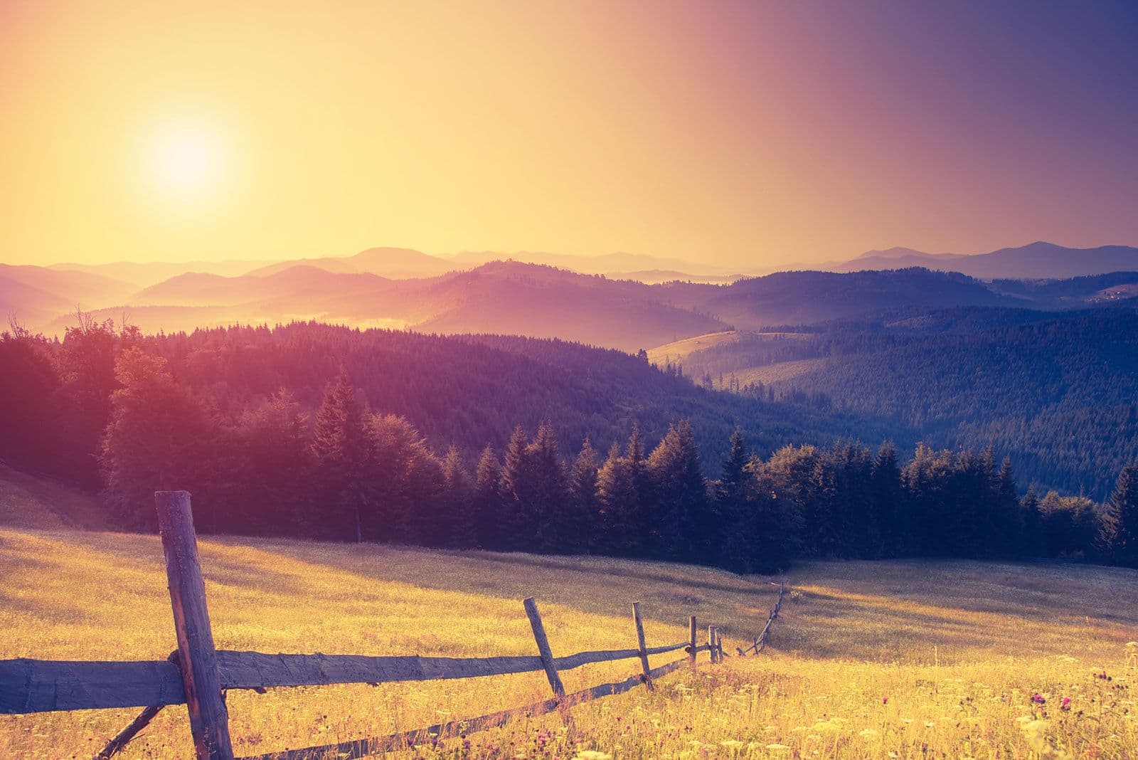 Quiet field at sunset, a peaceful image for grief counseling in Omaha