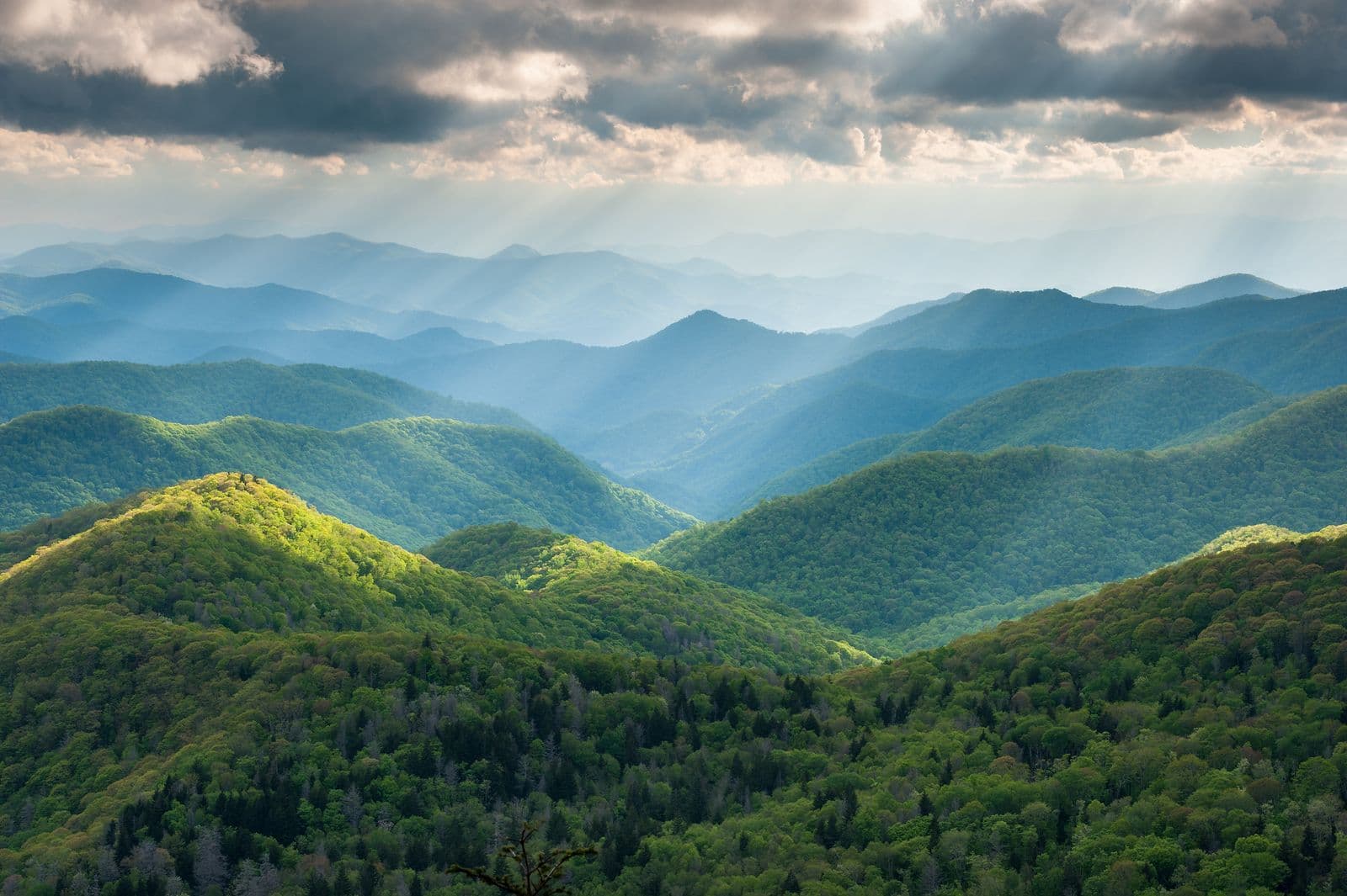 Morning light breaking over rolling hills, symbolizing trauma recovery